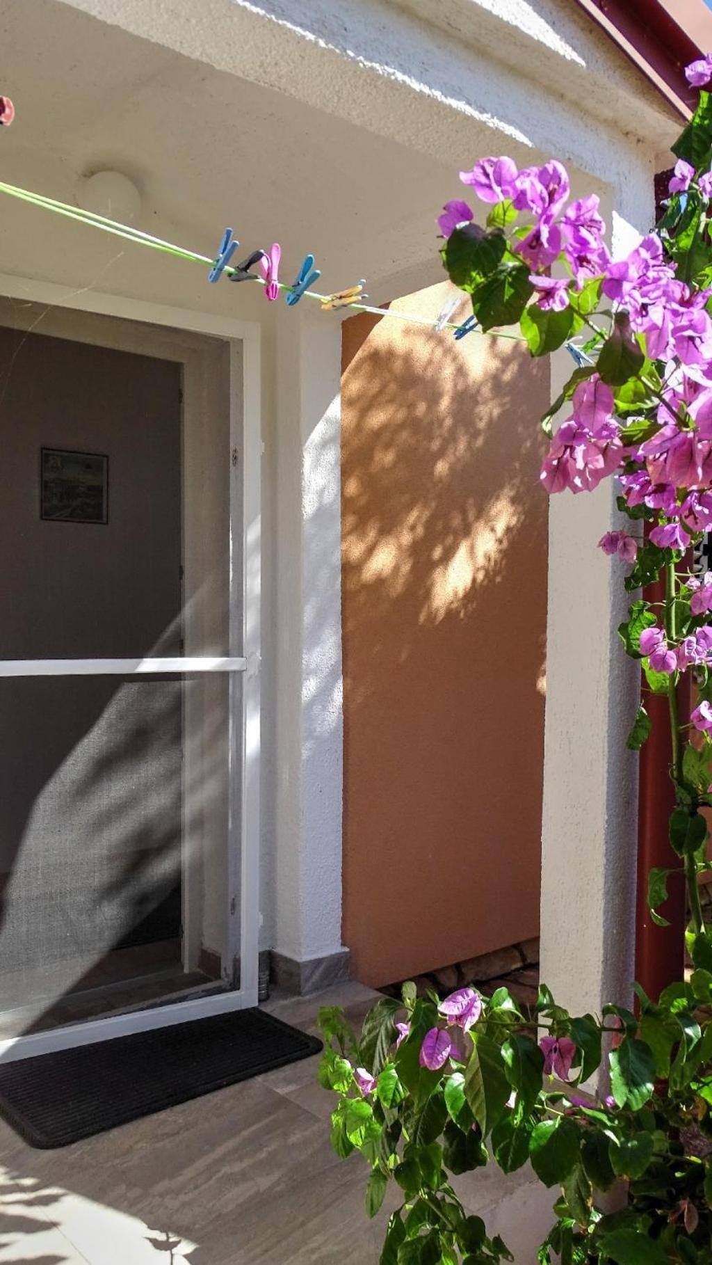 Studio Apartman I Mali Apartman Vir Exterior photo
